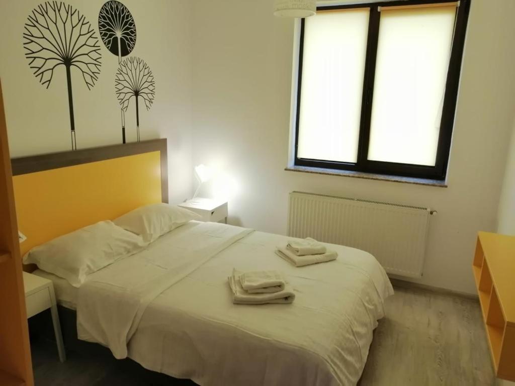 Cozy Accommodation Central City - Iasi Eksteriør billede