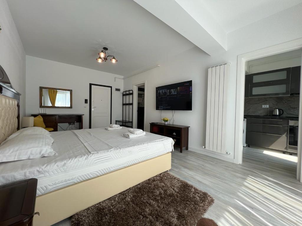 Cozy Accommodation Central City - Iasi Eksteriør billede
