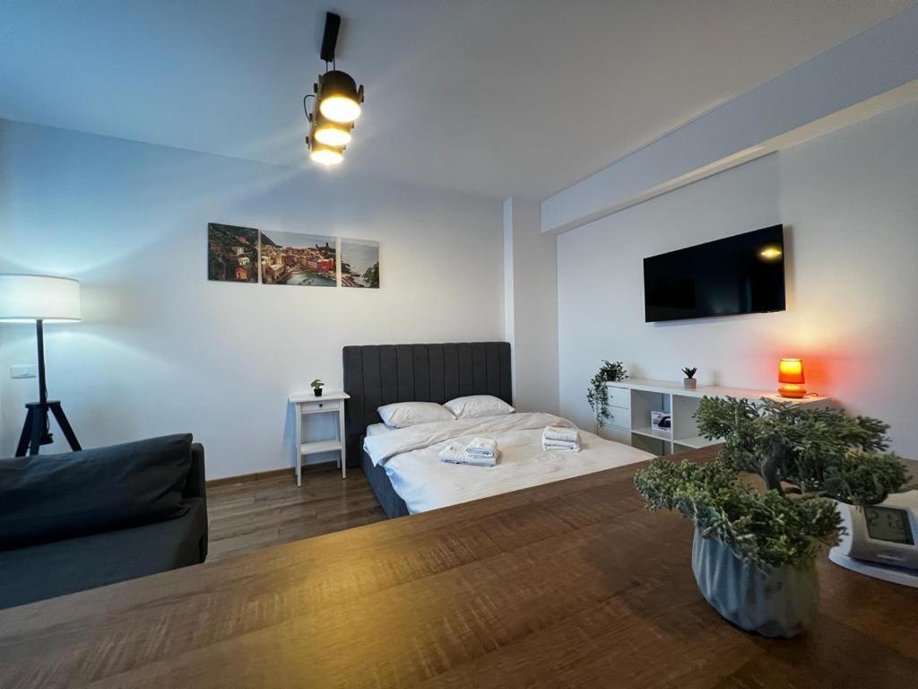 Cozy Accommodation Central City - Iasi Eksteriør billede