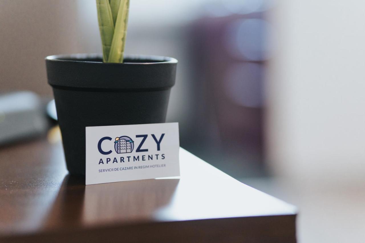 Cozy Accommodation Central City - Iasi Eksteriør billede